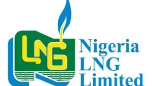 nlng scholarships for all students of every level