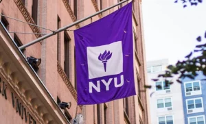 nyu transfer acceptance rate