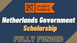 netherlands government scholarships