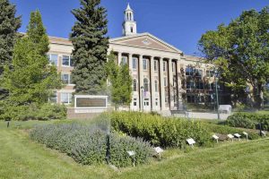 colorado state university acceptance rate