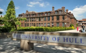 University of Hull shines