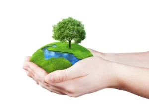 What is Environmental Protection All About
