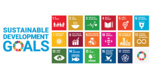 Integration of SDGs in international education