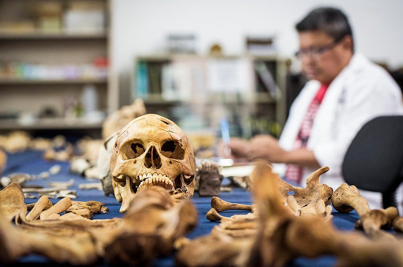 10 Best Forensic Anthropology Schools