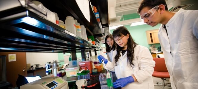10 Best Chemical Engineering PhD Programs In 2022