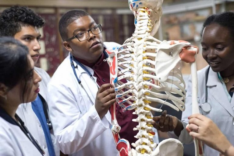 17 Best Physical Therapy Schools In 2024 Full Guide Scholarships Hall   Best Physical Therapy Schools 768x513 