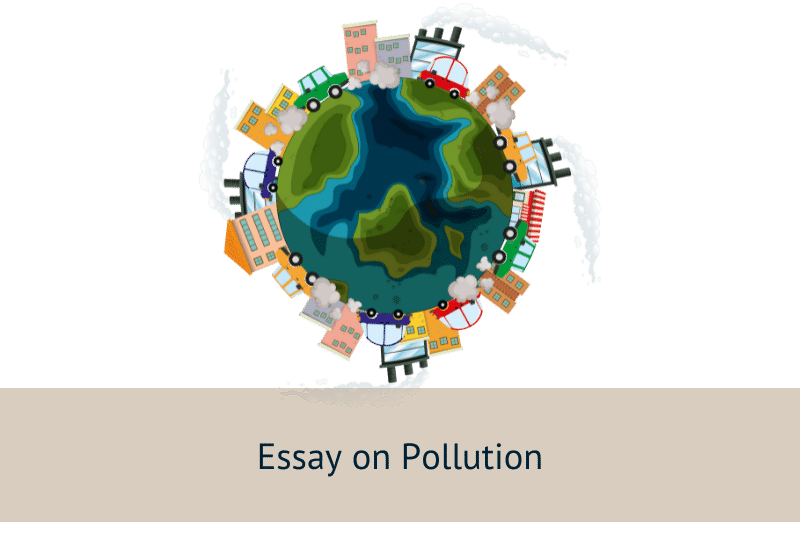 pollution essay 800 words