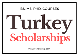 scholarship in turkey