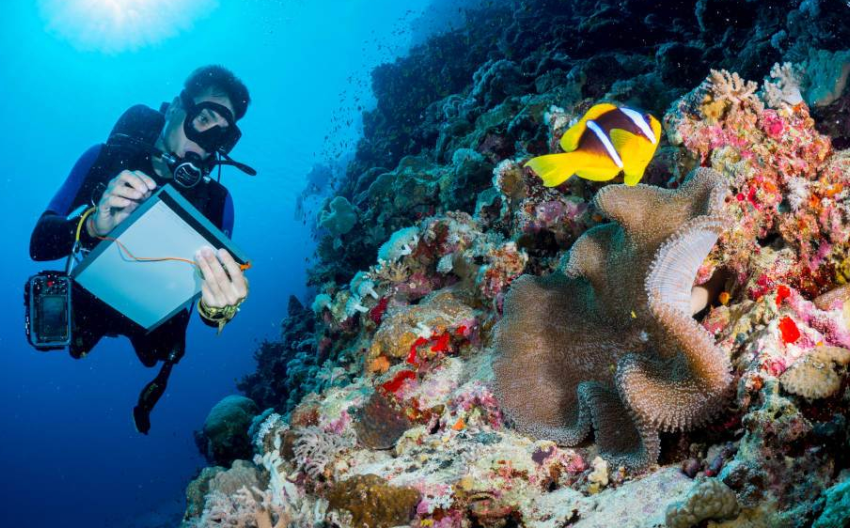 Best marine biology schools in the world
