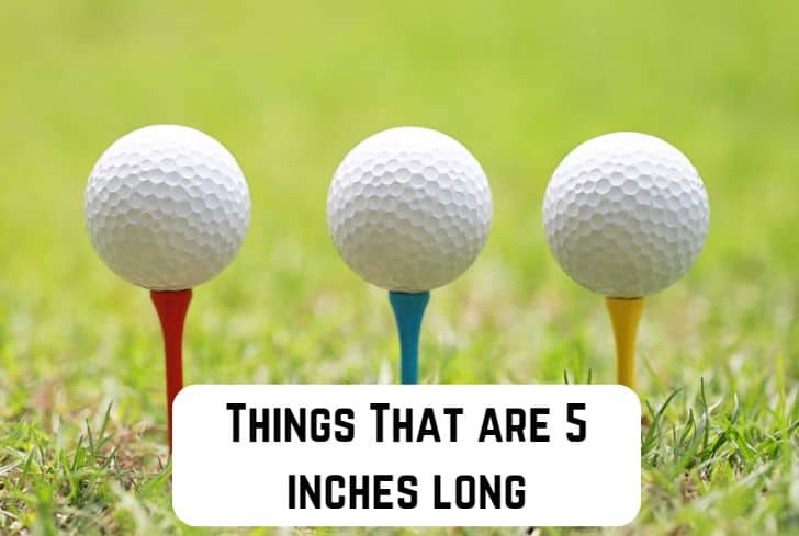items that are 5 inches long