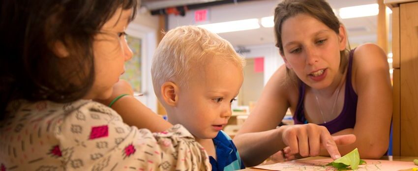 Language Learning In Early Childhood