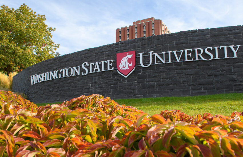 WSU Online Application Status