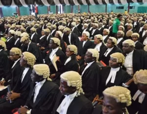 Nigerian Law School Portal 2024 Guide