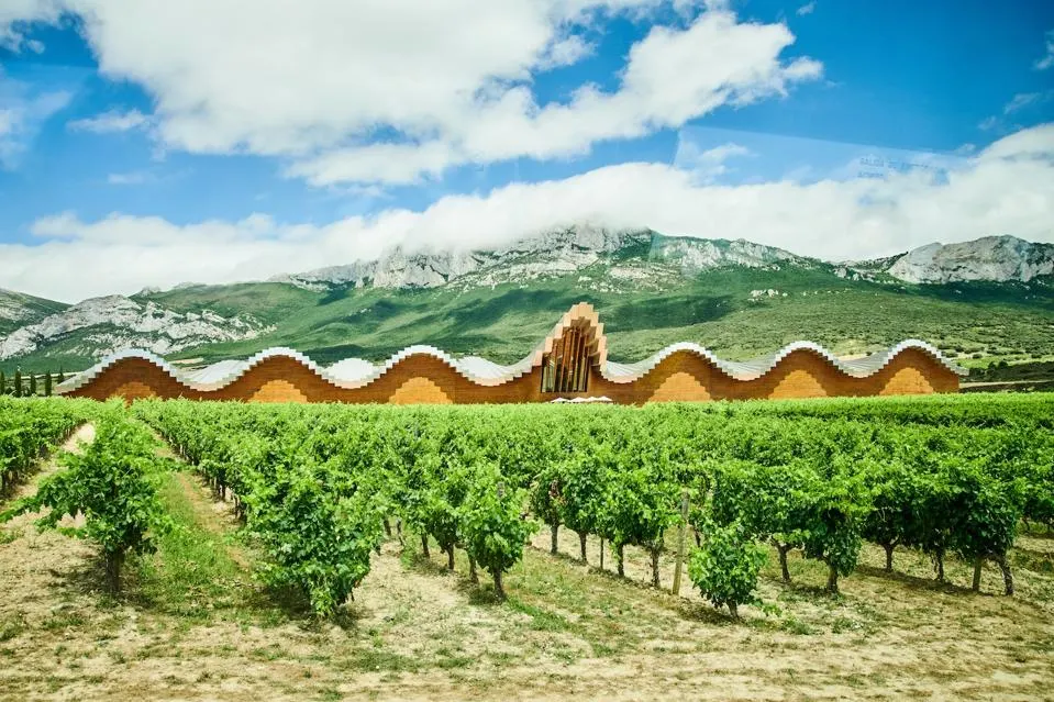 Best Vineyards for Rioja wine