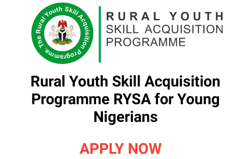 Rural Youth Skill Acquisition Programme For young nigerians 2024