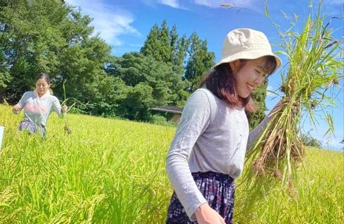 Discovering the Best Volunteer programs in Japan
